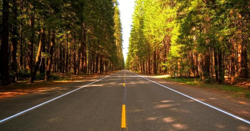 HIDRÓGENO COMO ALTERNATIVA PARA UN TRANSPORTE SIN EMISIONES